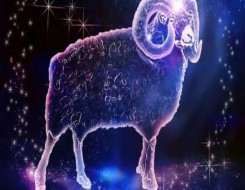  السعودية اليوم - صفات شخصية برج الجدي بالتفصيل ونقاط قوته وطريقة تفكيره في الحياة والحب