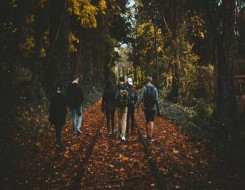 السعودية اليوم - دراسة حديثة تؤكد فائدة المشي المتواصل لعمر أطول وصحة أفضل