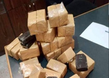  السعودية اليوم - حرس الحدود في جازان ينجح في منع تهريب أربعين كيلو جراما من مادة الحشيش
