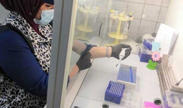 باحثون يابانيون يطورون تغليفًا غذائيًا مستدامًا من قشور اليقطين