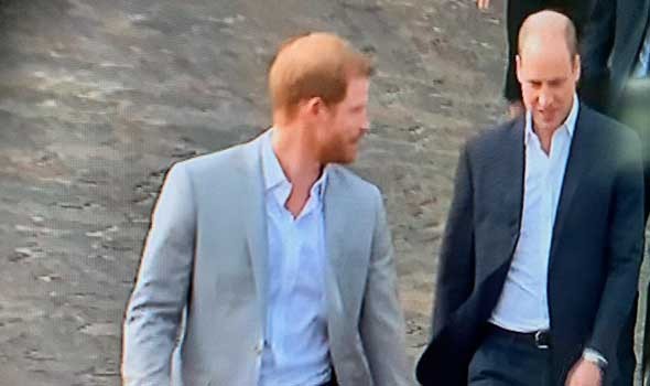  السعودية اليوم - الأمير هاري يدافع عن دور قوات الناتو في أفغانستان ويطالب باحترام تضحياتهم