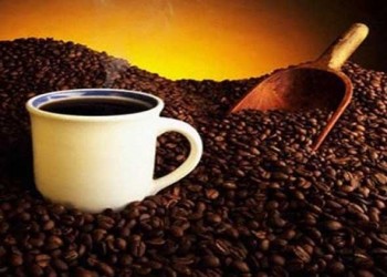  السعودية اليوم - دراسة تكشف أن الكافيين يعيد الذاكرة بعد الحرمان من النوم