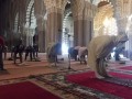  السعودية اليوم - مواقيت الصلاة في القاهرة اليوم الاثنين 15 ​ يناير / كانون الثاني 2024