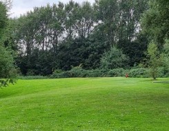  السعودية اليوم - إدارة ترامب تنهي عقود إيجار ثلاثة ملاعب غولف عامة في واشنطن وتفتح المجال لتغييرات واسعة في المواقع الفيدرالية