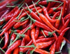  السعودية اليوم - تناول الفلفل الحار مرة شهريًا قد يقلل خطر إصابة الحوامل بسكري الحمل