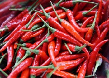  السعودية اليوم - الفلفل الحار الكامل يقلل ضغط الدم ويحسن صحة الأوعية الدموية