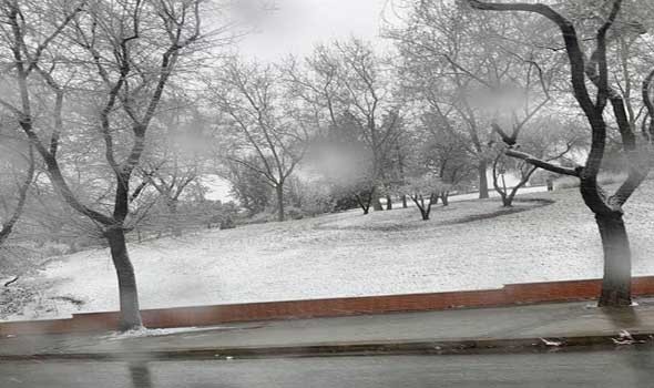  السعودية اليوم - مقتل نحو ألف شخص بانزلاق تربة مدمّر في قرية ترسين بولاية وسط دارفور غربي السودان