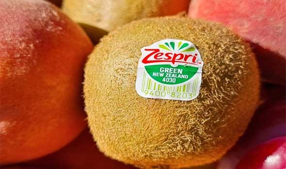  السعودية اليوم - الكيوي يساهم في تنظيم السكر ويعزز صحة القلب والأوعية الدموية