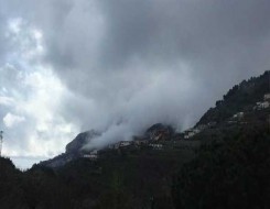  السعودية اليوم - نيوزيلندا تتعهد بخفض انبعاثات الميثان الحيوي 24 بالمائة