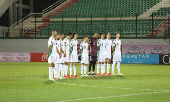  السعودية اليوم - الجزائر تتأهل إلى دور الـ32 بتعادل مثير أمام النمسا