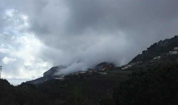  السعودية اليوم - نيوزيلندا تتعهد بخفض انبعاثات الميثان الحيوي 24 بالمائة