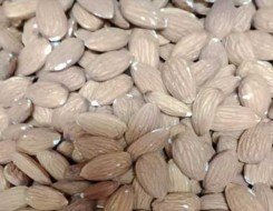  السعودية اليوم - أبرز الأطعمة الغنية بفيتامين «هـ» لصحة البشرة والجهاز المناعي