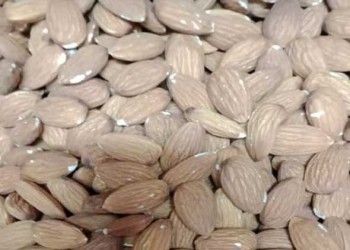  السعودية اليوم - أبرز الأطعمة الغنية بفيتامين «هـ» لصحة البشرة والجهاز المناعي