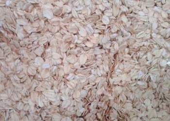  السعودية اليوم - تناول الشوفان لمدة يومين يساعد على خفض مستوى الكوليسترول وضغط الدم