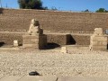  السعودية اليوم - أفضل 6 أنشطة مثيرة يمكنكِ القيام بها في مدينة الأقصر