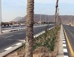  السعودية اليوم - عبور 2.79 مليون مركبة إلى الحرم المكي خلال رمضان يعكس كفاءة الطرق واستعدادات الهيئة