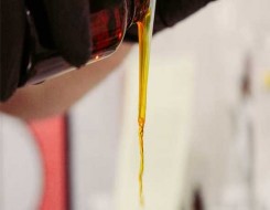  السعودية اليوم - دراسة تكشف آلية جديدة تربط زيت فول الصويا بزيادة الوزن