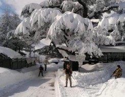  السعودية اليوم - الجيش اللبناني يضبط مخزن أسلحة في بعلبك ويؤكد التزامه بالإجراءات القانونية