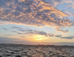  السعودية اليوم - حالة الطقس في السعودية اليوم الأربعاء 15 أكتوبر / تشرين الأول 2025