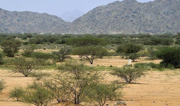  السعودية اليوم - دول مجلس التعاون تعزز جهود مكافحة التصحر وحماية الأراضي