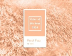  السعودية اليوم - "بانتون" تختار الوردي البرتقالي لونًا للعام 2024 في الديكور
