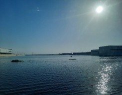  السعودية اليوم - ارتفاع عدد ضحايا فيضانات المكسيك إلى ستة وسبعين شخصا وفقدان خمسة وستين آخرين